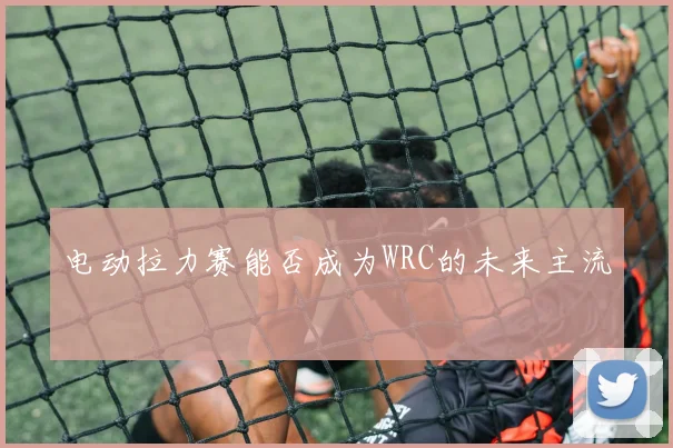 电动拉力赛能否成为WRC的未来主流