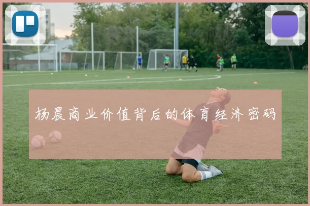 杨晨商业价值背后的体育经济密码
