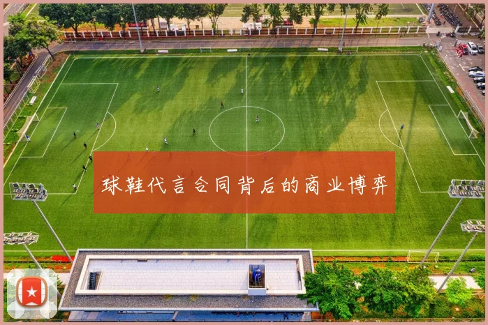 球鞋代言合同背后的商业博弈