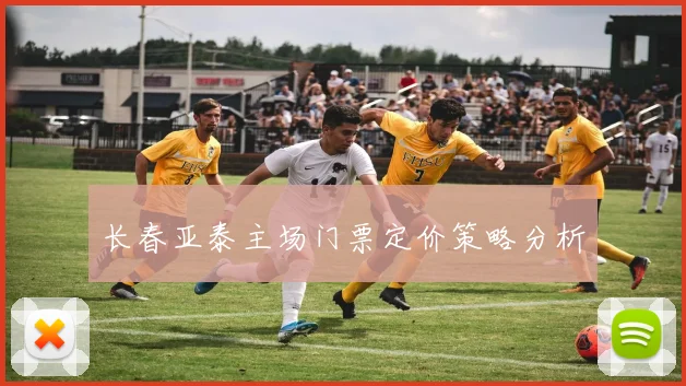 长春亚泰主场门票定价策略分析