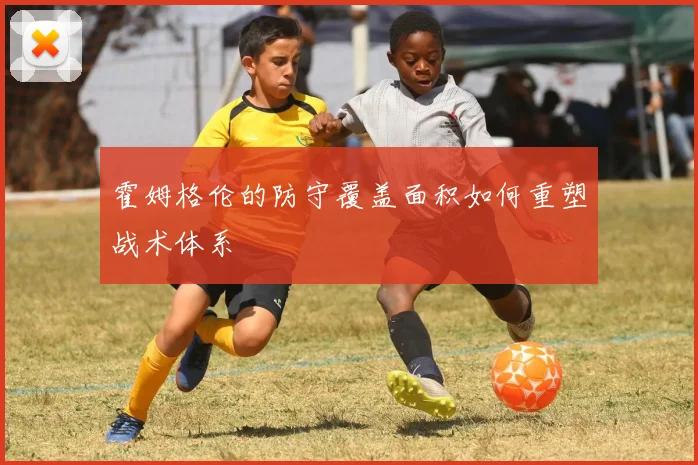 霍姆格伦的防守覆盖面积如何重塑战术体系