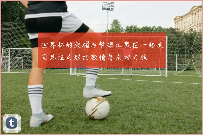 世界杯的荣耀与梦想汇聚在一起共同见证足球的激情与友谊之旅