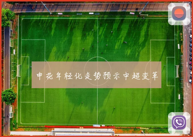 申花年轻化走势预示中超变革