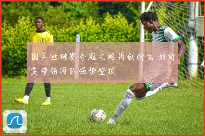 国乒世锦赛夺冠之路再创新高 刘诗雯带领团队强势登顶