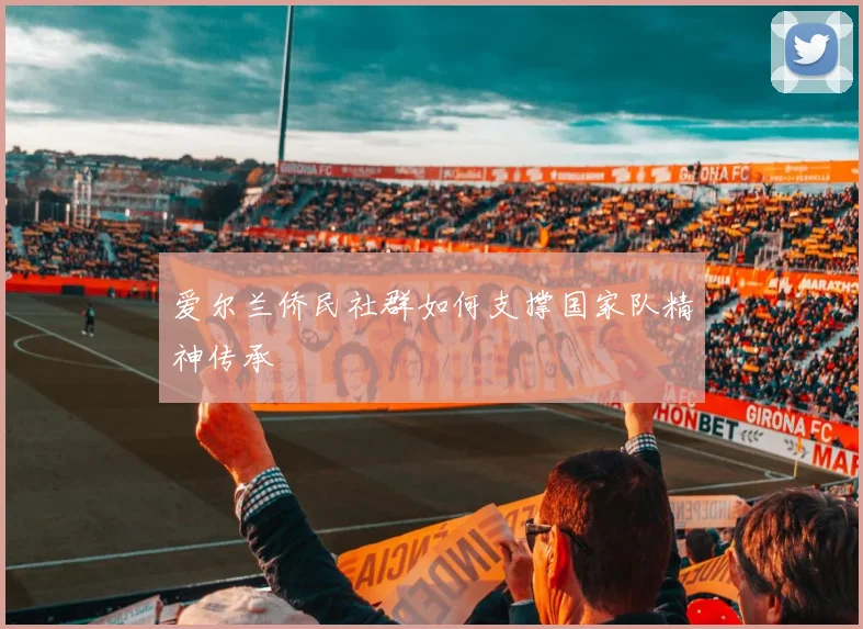 爱尔兰侨民社群如何支撑国家队精神传承